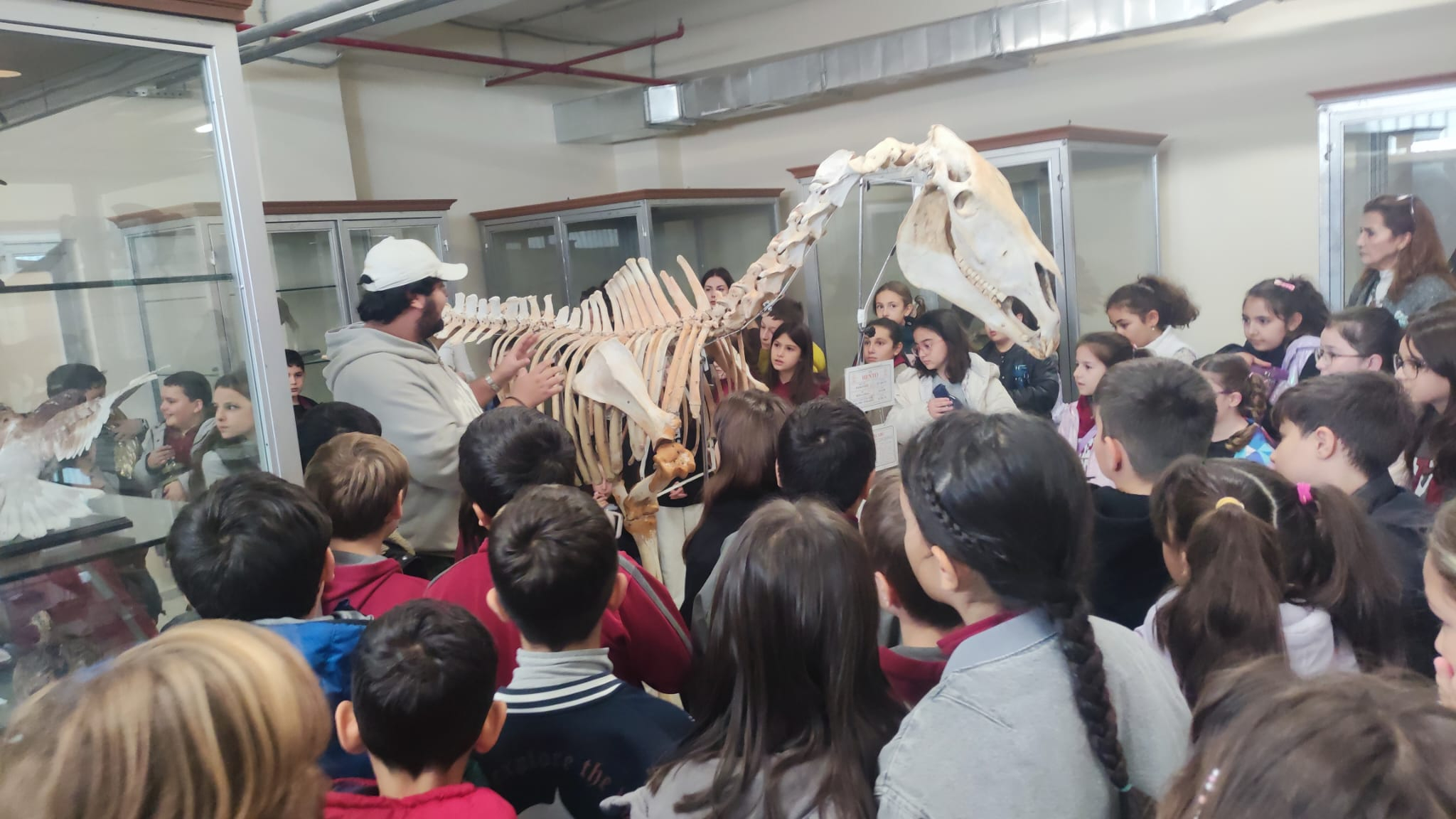 4. SINIFLARIMIZ ZOOLOJİ MÜZESİ’NDE